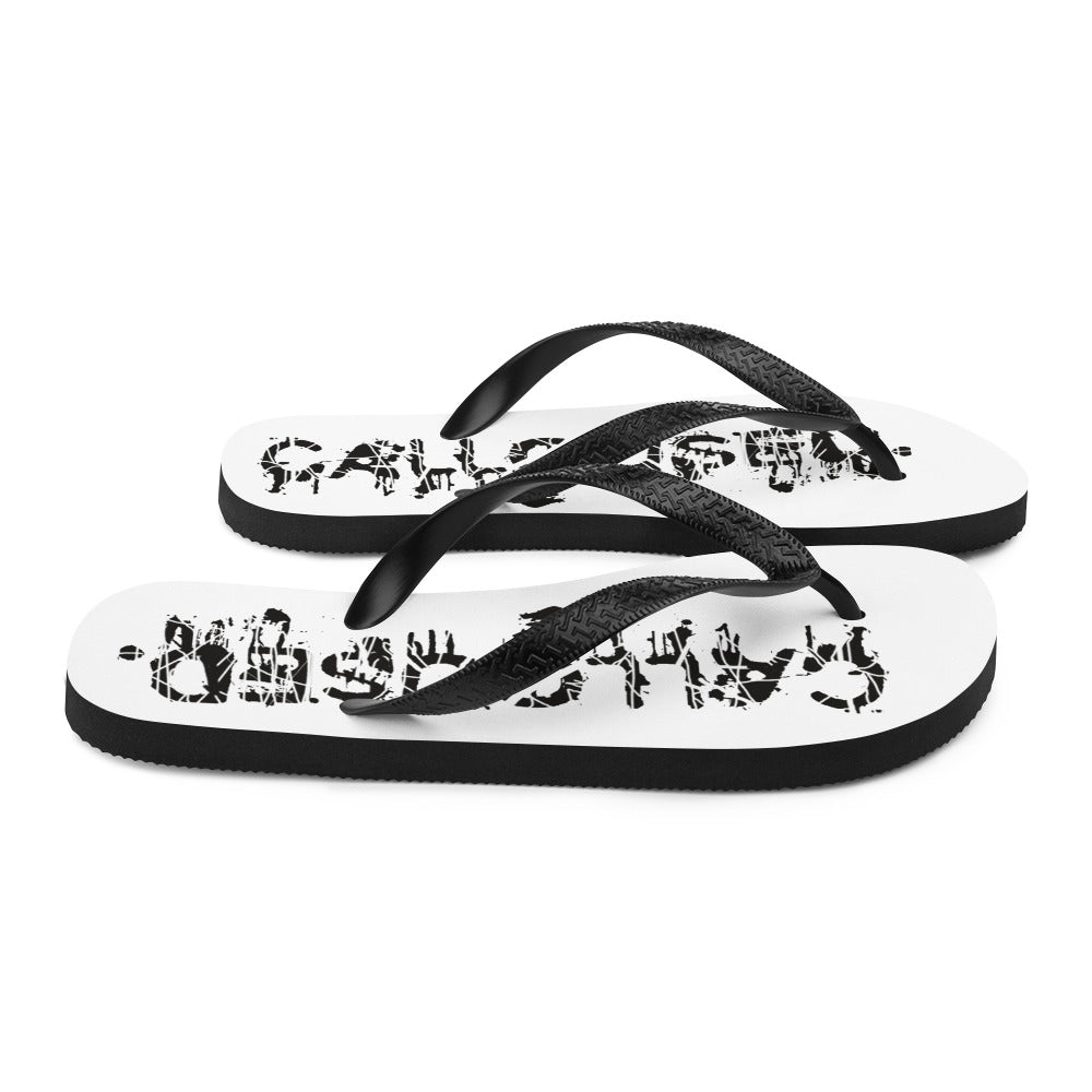 THE FLOPS