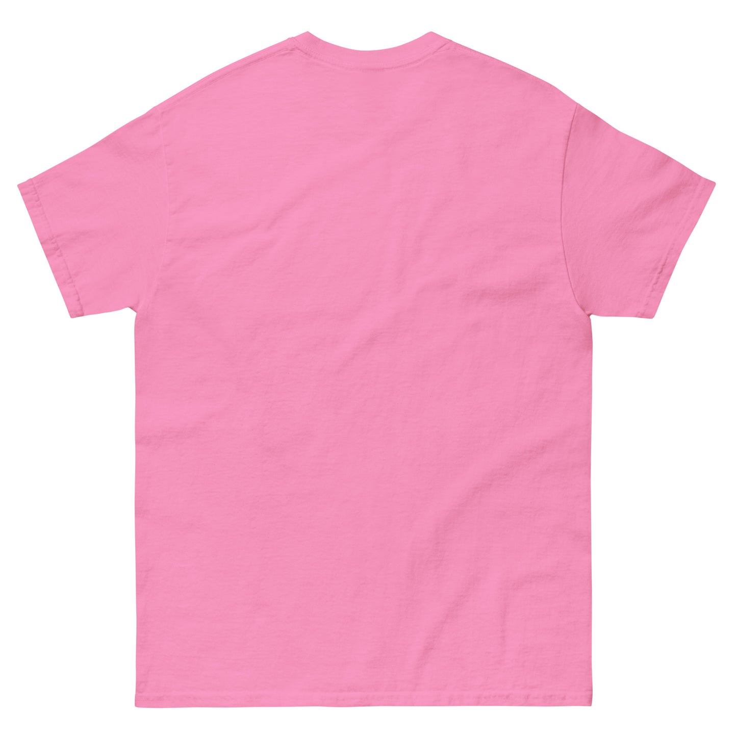The Best Shirt Ever